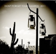 DON'T FORGET YOUR CAMERA! 2011 book cover