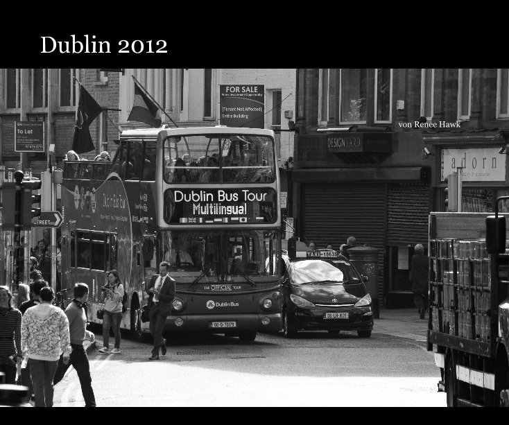View Dublin 2012 by von Renee Hawk