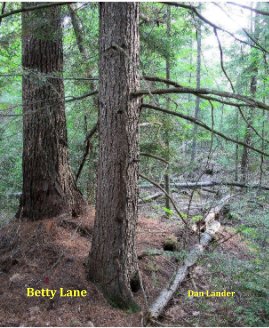 Betty Lane book cover