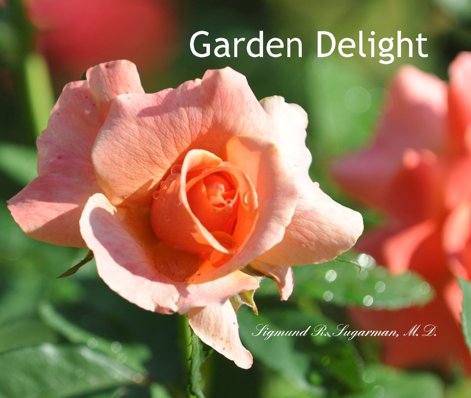 View Garden Delight by Sigmund R. Sugarman, M.D.