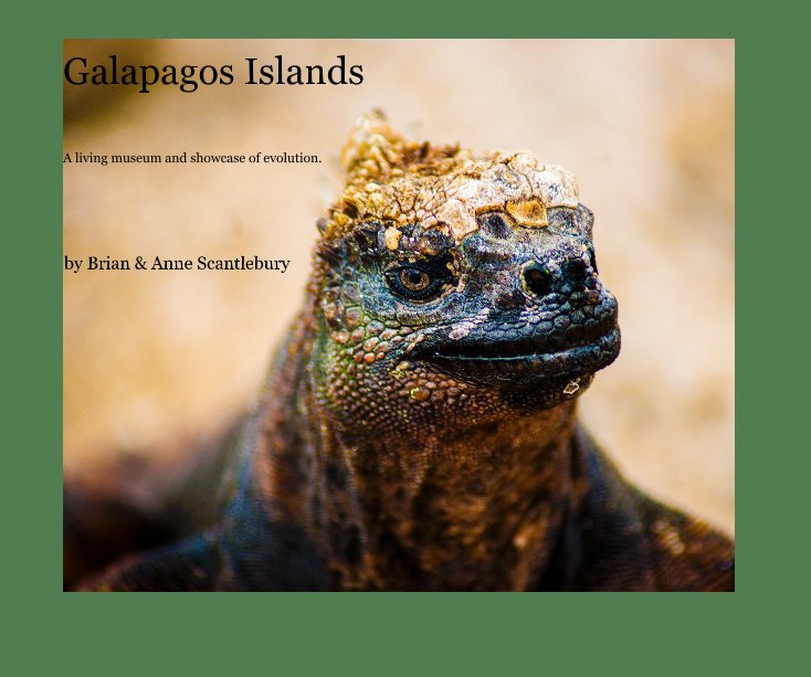 View Galapagos Islands by Brian & Anne Scantlebury