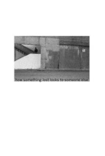 how something lost looks to someone else book cover