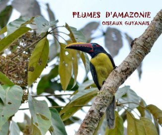 PLUMES D'AMAZONIE OISEAUX GUYANAIS book cover