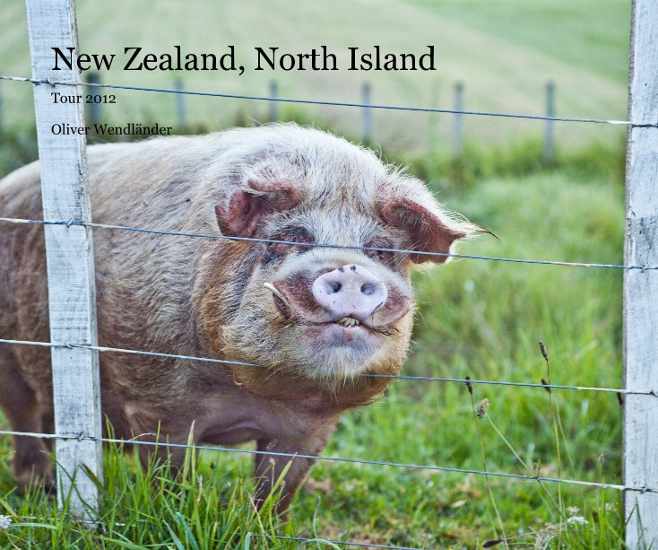 Visualizza New Zealand, North Island di Oliver Wendländer