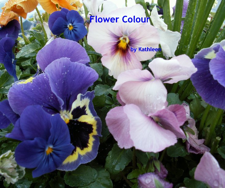 Ver Flower Colour por Kathleen