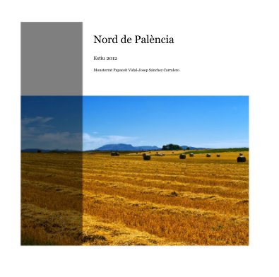 Nord de Palència book cover