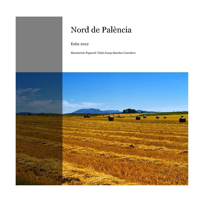 View Nord de Palència by Monsterrat Papaceit Vidal-Josep Sánchez Carralero