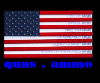 guns n ammo book cover