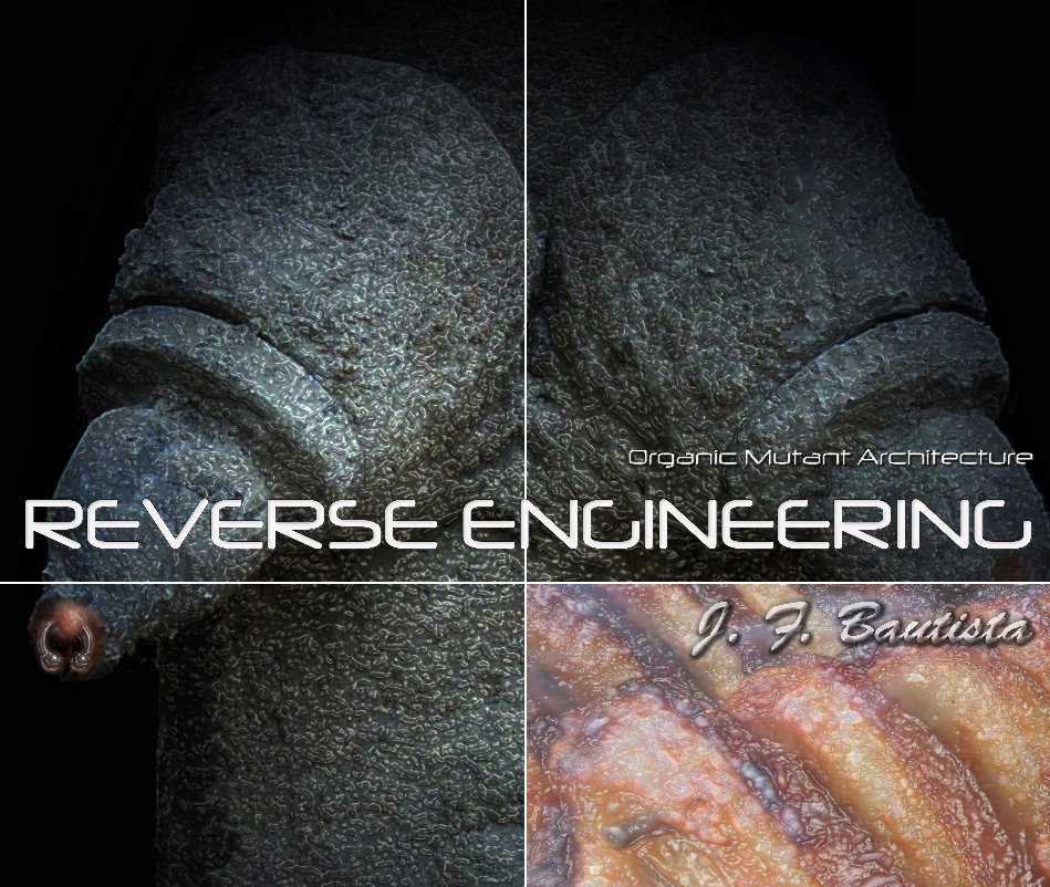 Ver Reverse Engineering por J. F. Bautista