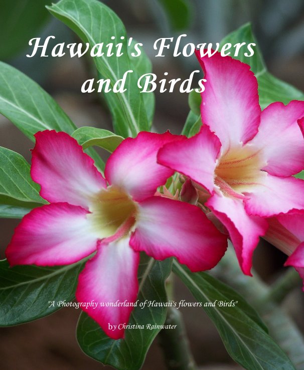 View Hawaii's Flowers and Birds by Christina Rainwater