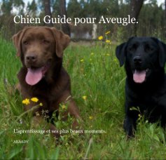 Chien Guide pour Aveugle. book cover
