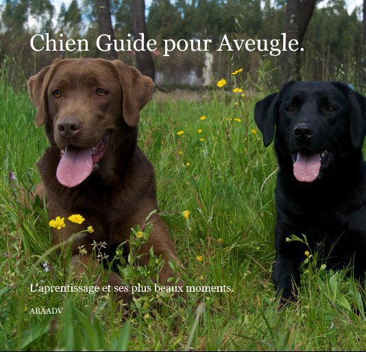 View Chien Guide pour Aveugle. by ABAADV