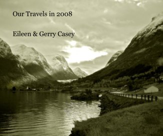 Our Travels in 2008 book cover