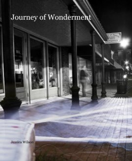 Journey of Wonderment book cover