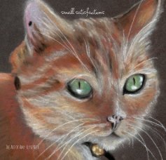 small satisfactions book cover