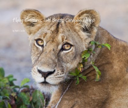 Flying Creatures, Wild Beasts, Creeping Things book cover