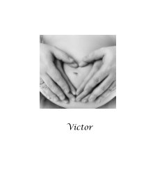 Victor book cover