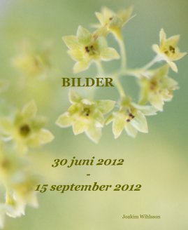 BILDER book cover