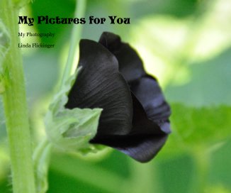 My Pictures for You book cover