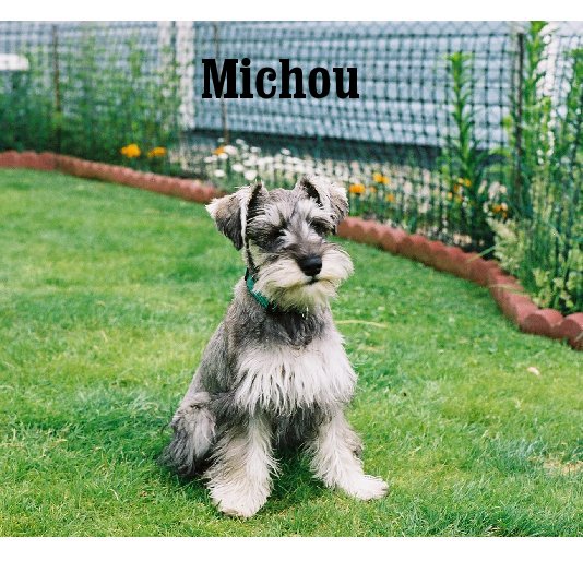 View Michou by Michele Wright