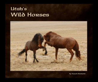 Utah's Wild Horses book cover