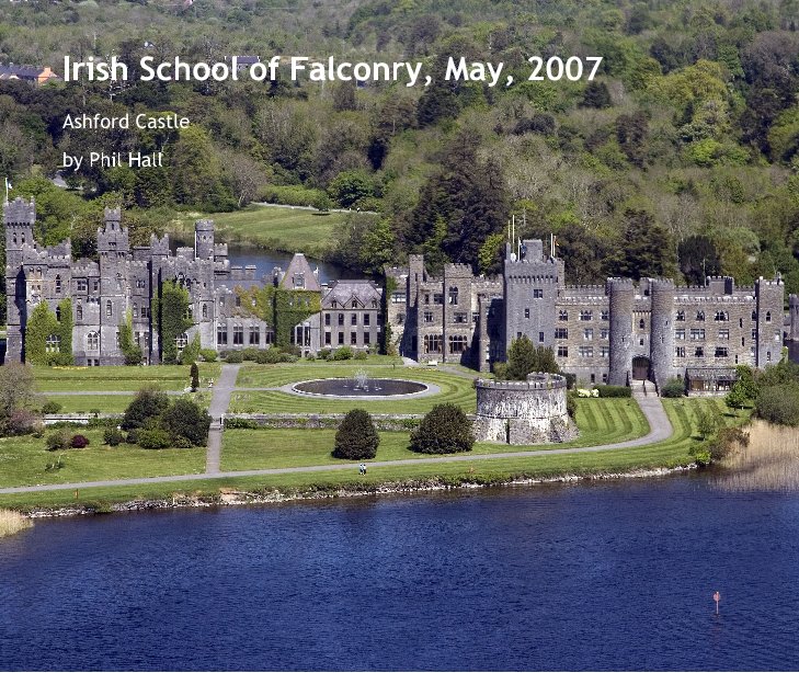 Ver Irish School of Falconry, May, 2007 por Phil Hall
