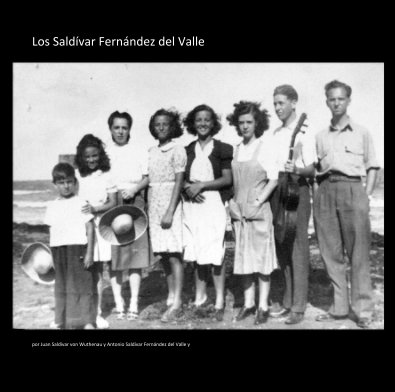 Los Saldívar Fernández del Valle book cover