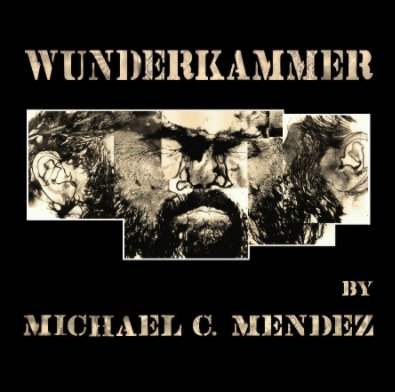 Wunderkammer book cover
