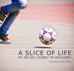 A slice of life book cover