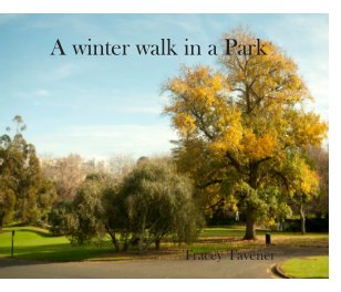 A winter walk in a park book cover