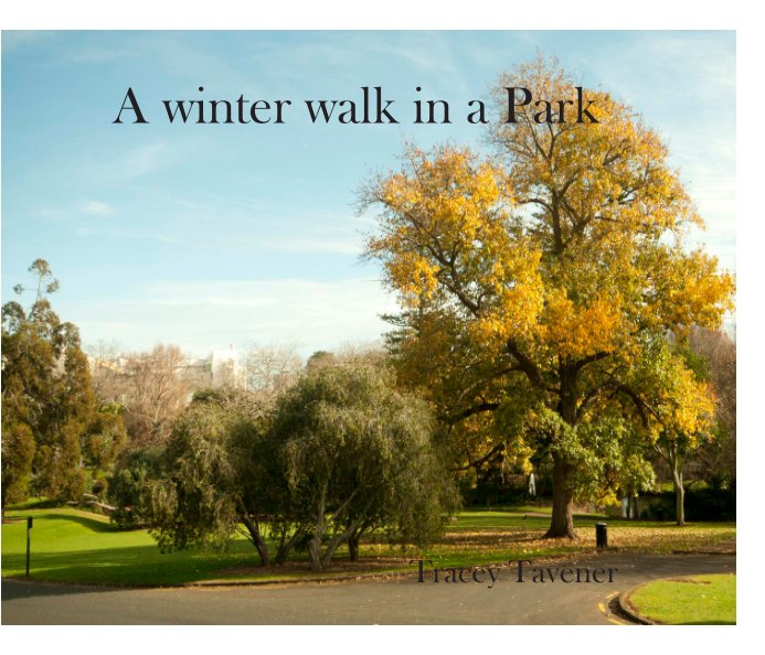 View A winter walk in a park by Tracey Tavener