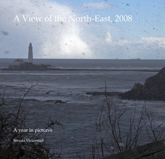 Ver A View of the North-East, 2008 por Brenda Vickerstaff