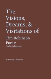 The Visions, Dreams, & Visitations of Tim Robinson Part 2 God's Judgement. To Bedford-Stuyvesant book cover