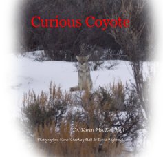 Curious Coyote book cover