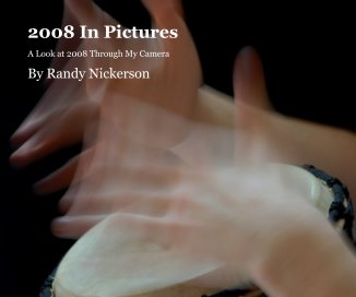 2008 In Pictures book cover