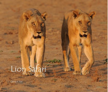 Lion Safari book cover