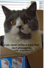 Cats never strike a pose that isn't photogenic. - Lillian Jackson Braun book cover