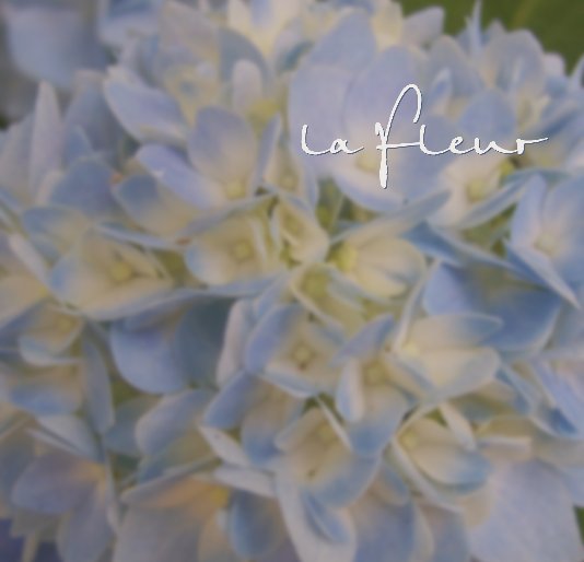 View la Fleur by Jennifer Perry
