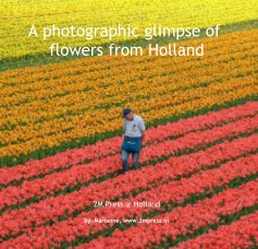 A photographic glimpse of flowers from Holland book cover