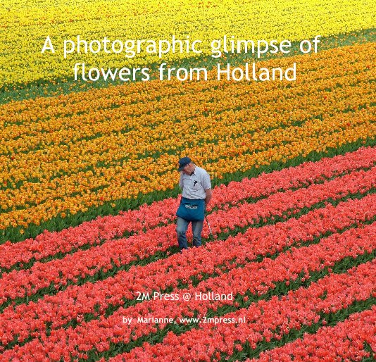 View A photographic glimpse of flowers from Holland by Marianne, www.2mpress.nl