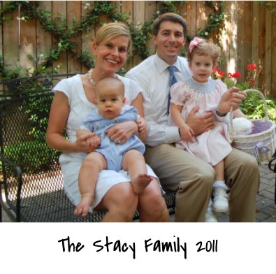 The Stacy Family 2011 book cover