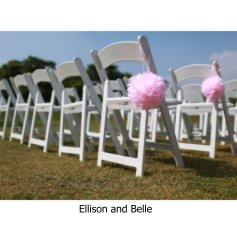 Ellison and Belle book cover