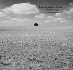 En camino hacia Santiago... [2012-2013] "Por tierras de Castilla..." book cover