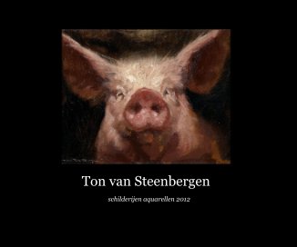 Ton van Steenbergen book cover