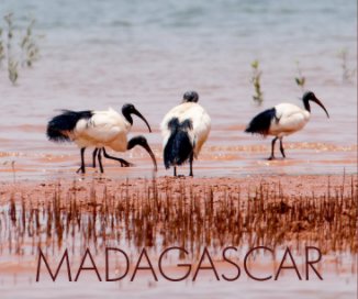MADAGASCAR book cover