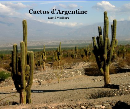 Cactus d'Argentine book cover