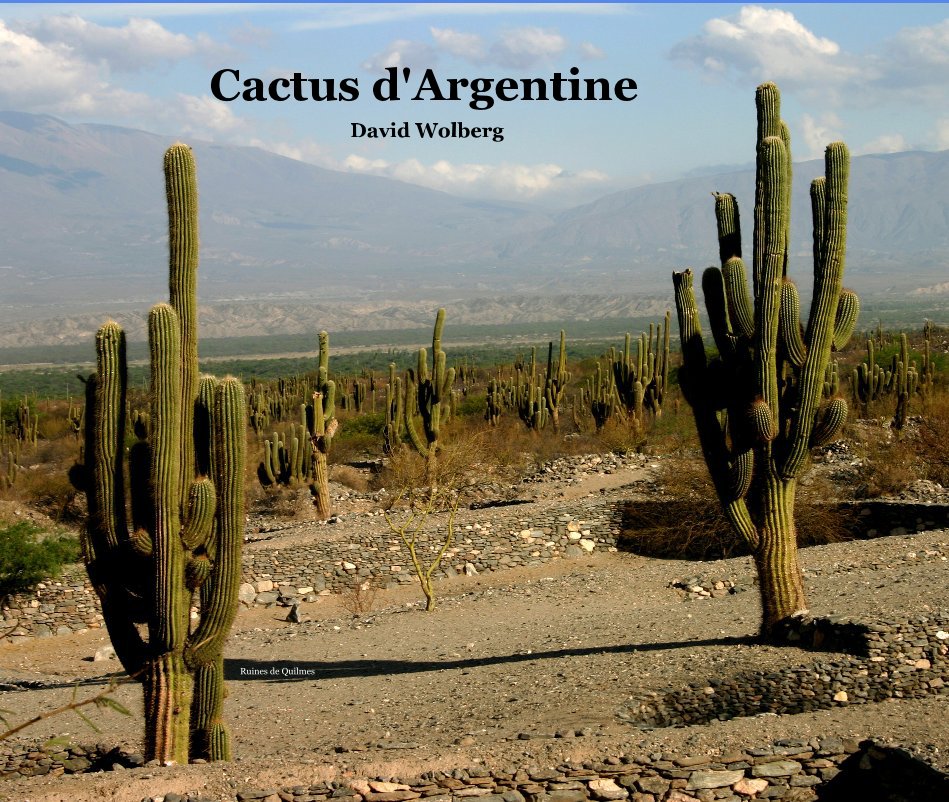Ver Cactus d'Argentine por David Wolberg