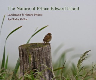 The Nature of Prince Edward Island book cover
