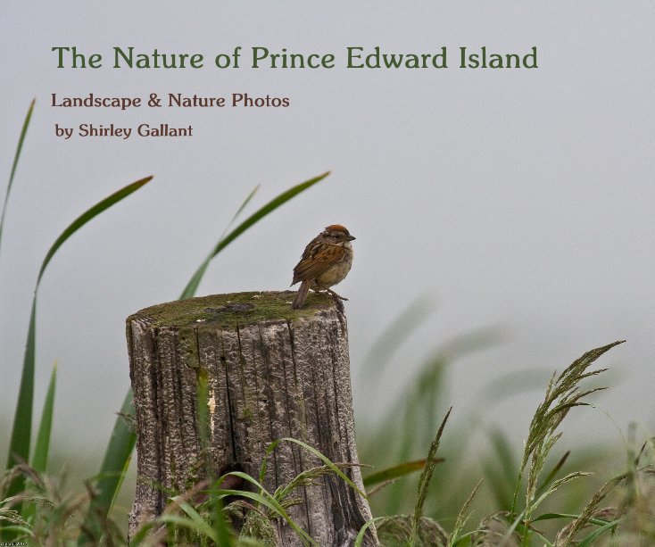 Ver The Nature of Prince Edward Island por Shirley Gallant