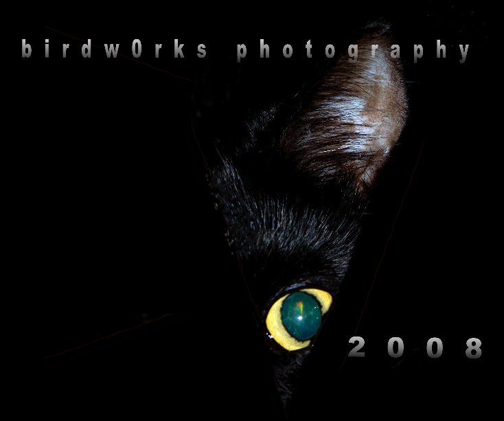 Ver birdw0rks photography 2008 por birdw0rks / Simon Bird